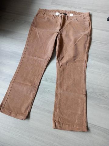 NIEUWE DAMES BABYRIBBROEK MAAT 50/52 BPC. beschikbaar voor biedingen