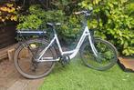 Electrische fiets wayscral, Ophalen, Gebruikt, Overige merken