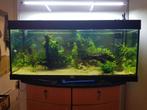 Aquarium 120 cm, Dieren en Toebehoren, Gebruikt, Ophalen, Leeg aquarium