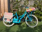 Alpina cargo transport kids fiets 20 inch blauw/ meisjes, Fietsen en Brommers, Fietsen | Meisjes, Ophalen, Alpina, 20 inch, Handrem