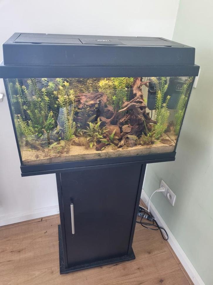 Aquarium 60 L Juwel met kast en LED controller, Dieren en Toebehoren, Vissen | Aquaria en Toebehoren, Gevuld zoetwateraquarium