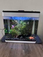 SuperFish - Panorama 50 LED Wit, Ophalen, Zo goed als nieuw, Gevuld zoetwateraquarium
