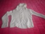 H&M vest, Ophalen of Verzenden, Zo goed als nieuw, Meisje, Trui of Vest