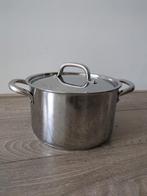 RVS Kookpan met Deksel - 5 Litres, Zo goed als nieuw, Rvs, Keramische plaat, Ophalen