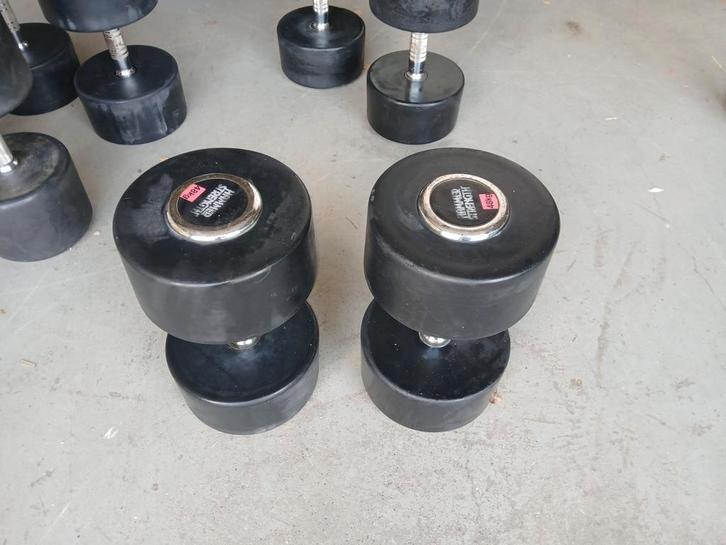 Hammer Strength Dumbbells 2x48kg, Sport en Fitness, Fitnessmaterialen, Gebruikt, Dumbbell, Armen, Borst, Rug, Ophalen