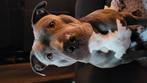 Liefde vol huis gezocht voor Kenzi, blauwe American Bully., 1 tot 2 jaar, Teef, Eén hond, Nederland