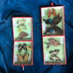 Taxidermie 2x set vlinders (4 doosjes), Verzamelen, Dierenverzamelingen, Ophalen of Verzenden, Zo goed als nieuw