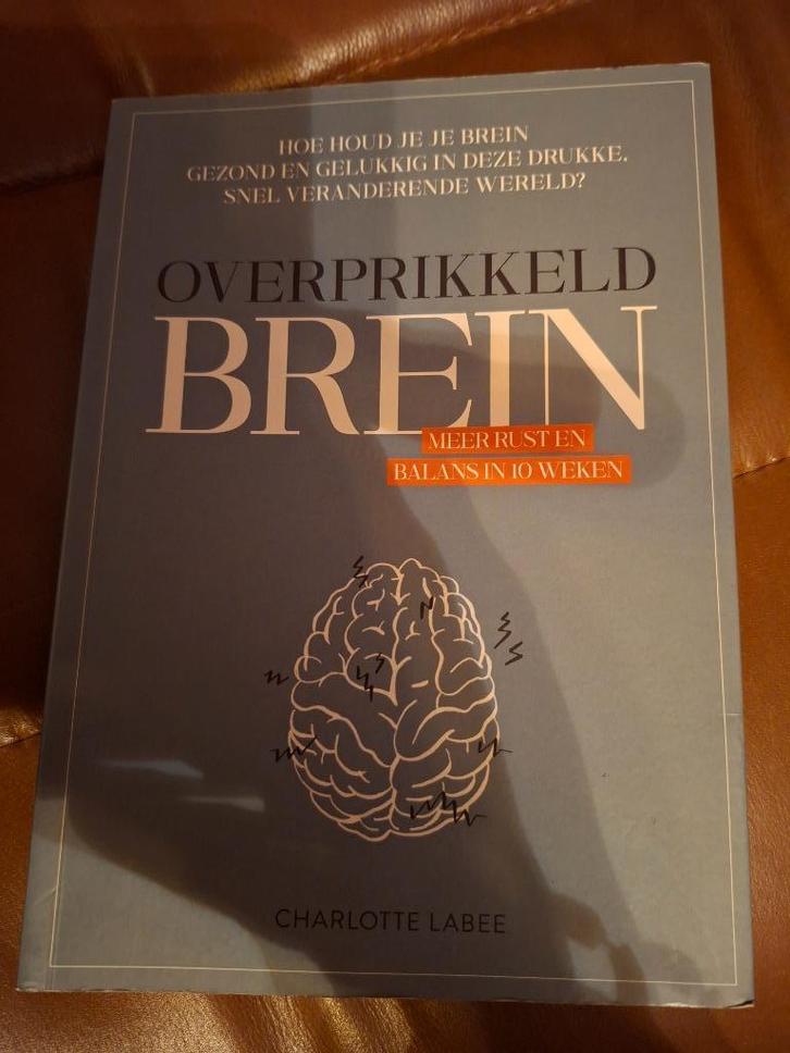 Overprikkeld Brein, meer rust balans in 10 wk, Boeken, Psychologie, Nieuw, Cognitieve psychologie, Ophalen