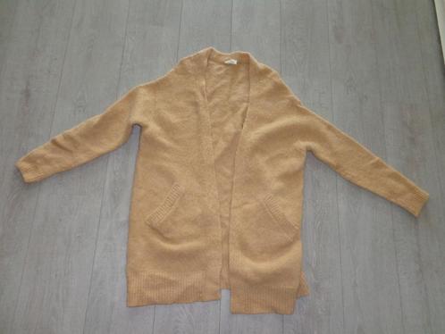 lange damesvest van American Vintage, maat M/L, Kleding | Dames, Truien en Vesten, Gedragen, Maat 38/40 (M), Ophalen of Verzenden