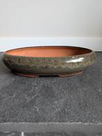 Bonsai pot 38x24x8cm, Tuin en Terras, Bloempotten, ., Ophalen of Verzenden, ., Aardewerk