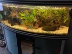 Aquarium verkopen, Dieren en Toebehoren, Vissen | Aquaria en Toebehoren, Ophalen of Verzenden, Zo goed als nieuw, Leeg aquarium