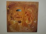 Andreas Vollenweider - Caverna Magica LP, Ophalen of Verzenden, 1980 tot 2000, Zo goed als nieuw, 12 inch