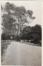 Eelde originele oude foto, Ophalen of Verzenden, Zuid-Holland