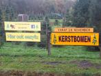 Kerstbomen verkoop Bovensmilde, Ophalen, Bloeit niet, Volle zon, Overige soorten