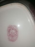 Old englend soepterine., Ophalen