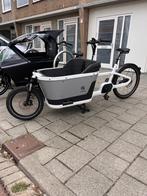 Carqon cruise, Ophalen, Zo goed als nieuw, 2 kinderen, Overige merken