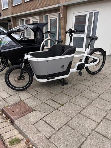 Carqon cruise beschikbaar voor biedingen