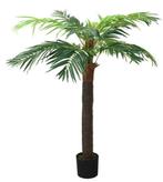 Kunstplant Phoenix palmboom met pot 190 cm GRATIS BEZORGD!, Verzenden, Nieuw, Binnen