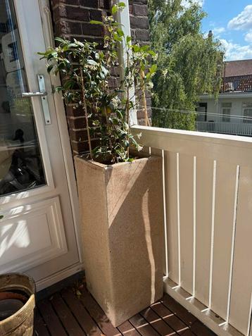 Vierkante hoge plantenpot beschikbaar voor biedingen
