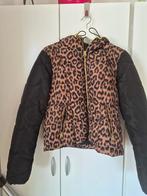 Dames Winterjas Maat 38, Maat 38/40 (M), Rainbow, Zwart, Ophalen of Verzenden