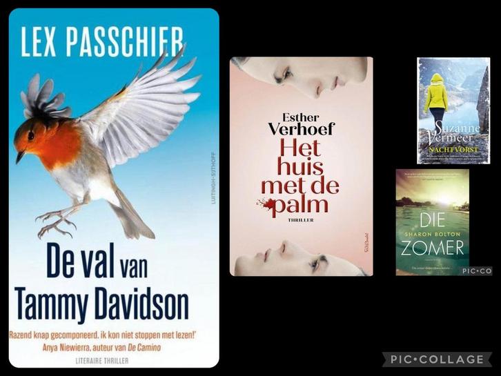 4 mooie boeken oa. De val van Tammy Davidson - Lex Passchier, Boeken, Thrillers, Zo goed als nieuw, Nederland, Ophalen of Verzenden
