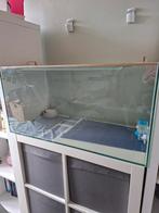 Hamster Terrarium 80x40, Dieren en Toebehoren, Knaagdieren en Konijnen | Hokken en Kooien, Zo goed als nieuw, 75 tot 110 cm, Ophalen