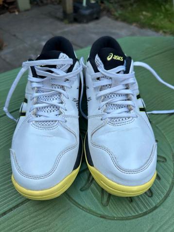 Asics Hockeyschoenen MT 37 - ZGAN beschikbaar voor biedingen