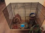 Hamsterkooi te koop aangebode met extra nieuwe spullen, Kooi, Minder dan 75 cm, Minder dan 60 cm, Ophalen of Verzenden