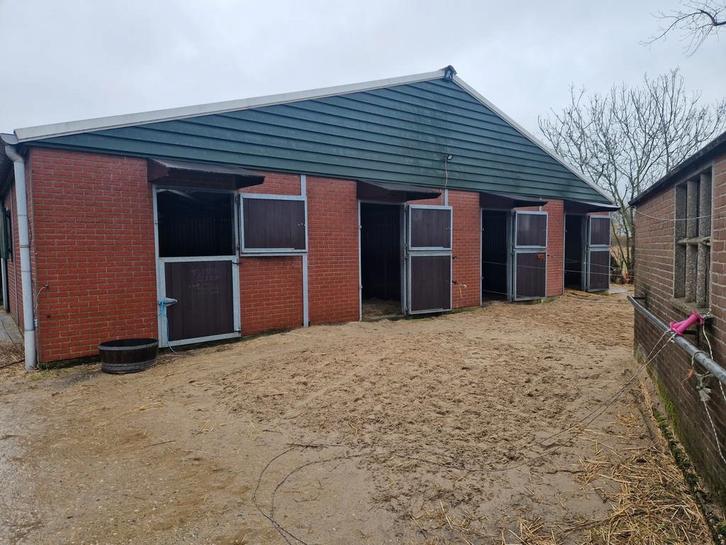 Stal beschikbaar met buitenluik, Dieren en Toebehoren, Stalling en Weidegang, Stalling, Weidegang, 2 of 3 paarden of pony's