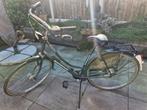 Batavus Damesfiets, Ophalen, Versnellingen, Batavus, 53 tot 56 cm