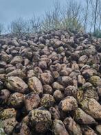 Voeder bieten €45, Ophalen