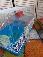 2x hamsterkooi zo goed als compleet.div. maten en toebehoren, Dieren en Toebehoren, Ophalen of Verzenden, Zo goed als nieuw