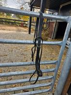 Martingaal, Dieren en Toebehoren, Paarden en Pony's | Hoofdstellen en Tuigage, Ophalen of Verzenden, Overige soorten