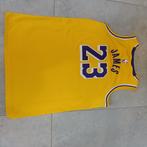 Nike NBA shirt Lebron James., Sport en Fitness, Basketbal, Ophalen of Verzenden, Zo goed als nieuw, Kleding