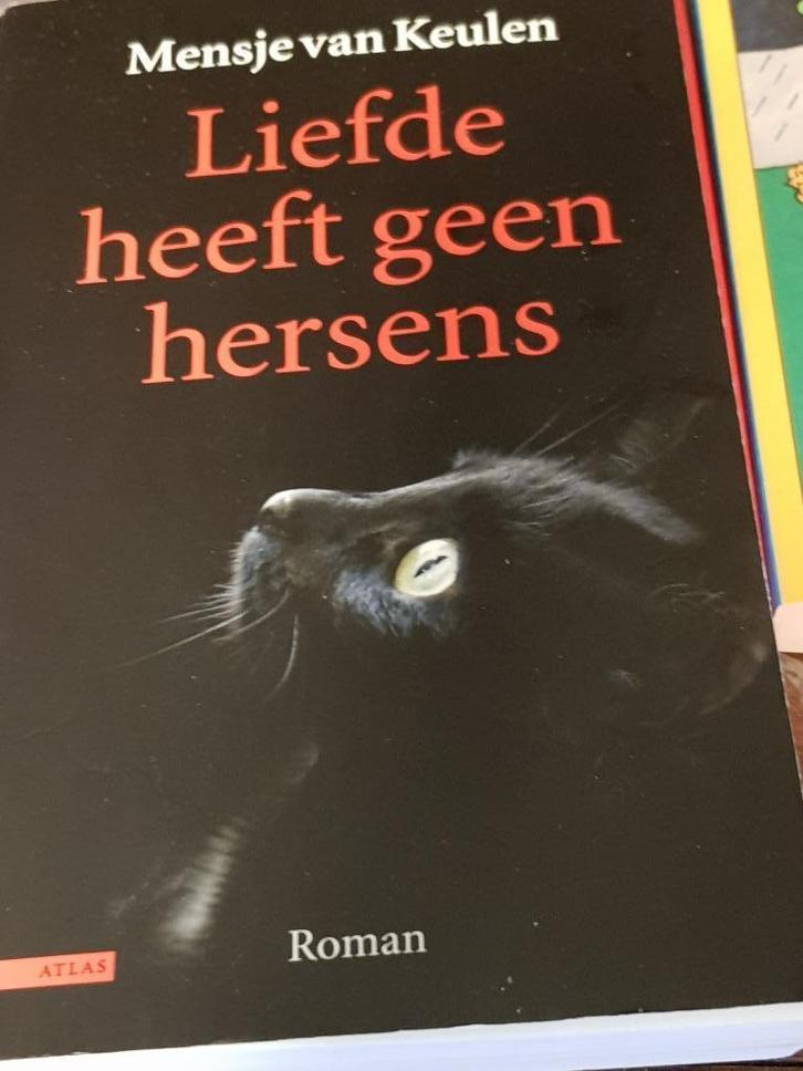 LIEFDE HEEFT GEEN HERSENS Mensje van Keulen, Boeken, Literatuur, Gelezen, Nederland, Ophalen of Verzenden