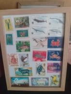 Fish diverse, Ophalen of Verzenden, Overige landen
