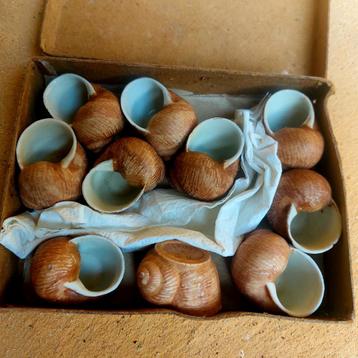 Porseleinen schelpen / slakkenhuisjes  beschikbaar voor biedingen