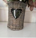 Windlicht/ vaas, Ophalen of Verzenden, Zo goed als nieuw, Overige kleuren, Glas