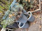 Toren kruidenpot, plantenbak, stapelbaar, Ophalen, Kunststof, Gebruikt, Rond