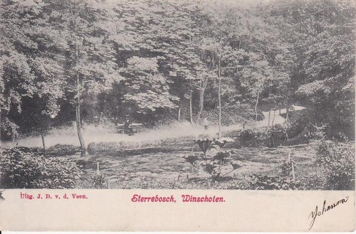 Ansichtkaart van het Sterrebosch in Winschoten, Verzamelen, Ansichtkaarten | Nederland, Gelopen, Groningen, Voor 1920, Ophalen of Verzenden