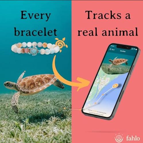 Fahlo volg een schildpad tracking armband, Sieraden, Tassen en Uiterlijk, Armbanden, Nieuw, Overige materialen, Blauw, Met bedels of kralen