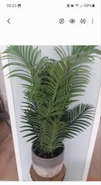 Kunstplant Goudpalm - groen -94 cm- in pot - kamerplant, Ophalen of Verzenden, Overige soorten, Volle zon