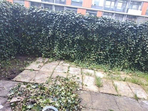 Gezocht: Goedkoop tuin tegelzetter stratenmaker, Tuin en Terras, Tegels en Klinkers, Ophalen