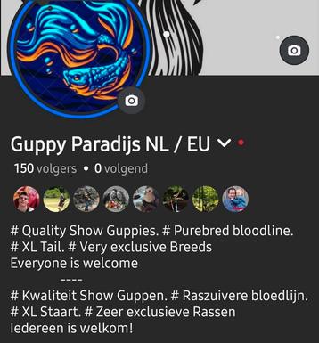 Actie = Aanbieding Guppen 100 % Raszuiver  beschikbaar voor biedingen