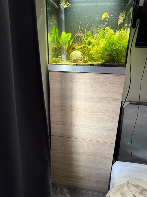 Aquarium Eheim (inclusief vissen), Dieren en Toebehoren, Vissen | Aquaria en Toebehoren, Zo goed als nieuw, Gevuld zoetwateraquarium