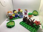 Duplo Figuren en Losse Stenen, Ophalen of Verzenden, Zo goed als nieuw, Losse stenen, Duplo
