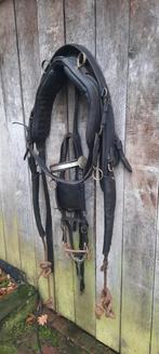 Tekoop als decoratie paardentuig, Antiek en Kunst, Ophalen