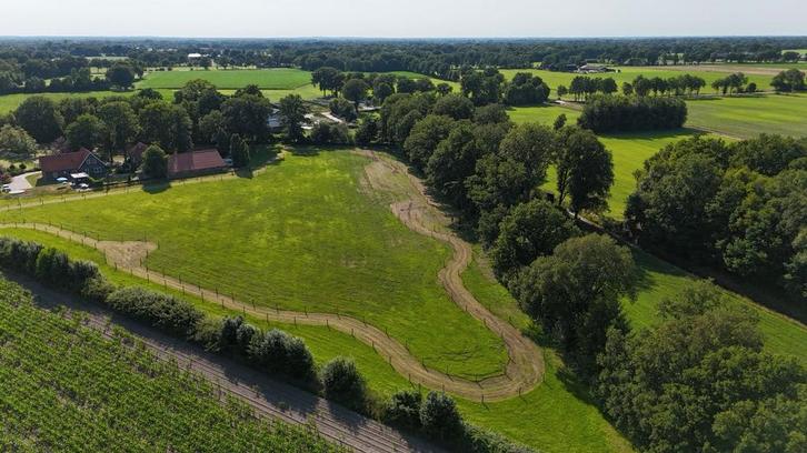 Kleinschalig paddock paradise aan huis Geesteren OV, Dieren en Toebehoren, Stalling en Weidegang, Weidegang