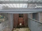 Hondenkennel vogelkooi volière hondenren kattenren, Dieren en Toebehoren, Ophalen, Zo goed als nieuw, Metaal, Volière