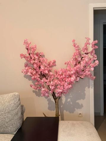 Bloesemboom  beschikbaar voor biedingen
